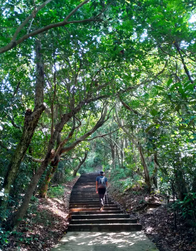 迪卡侬17l登山包登山杖怎么挂(3)