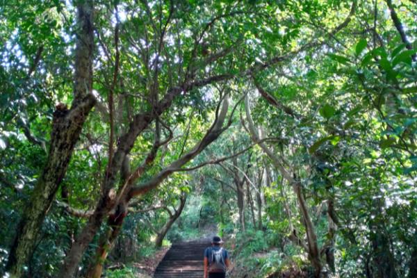 迪卡侬17l登山包登山杖怎么挂
