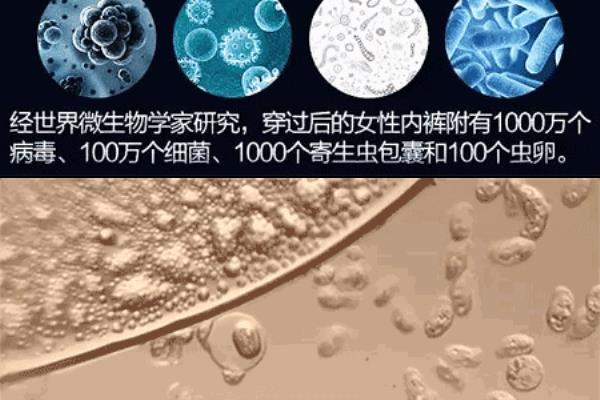 可套行李箱<b>拉杆上的收纳包女< b>